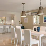 Alkyoni * Φισκάρδο